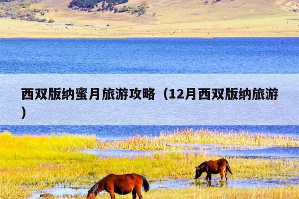 西双版纳蜜月旅游攻略（12月西双版纳旅游）