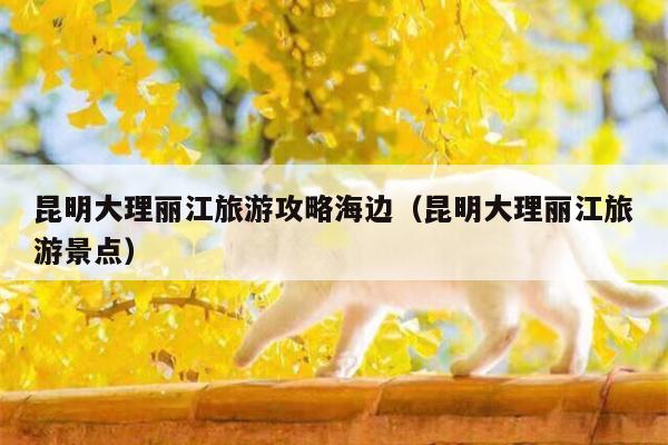 昆明大理丽江旅游攻略海边（昆明大理丽江旅游景点）