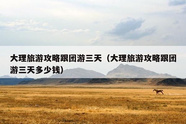 大理旅游攻略跟团游三天（大理旅游攻略跟团游三天多少钱）