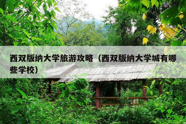 西双版纳大学旅游攻略（西双版纳大学城有哪些学校）