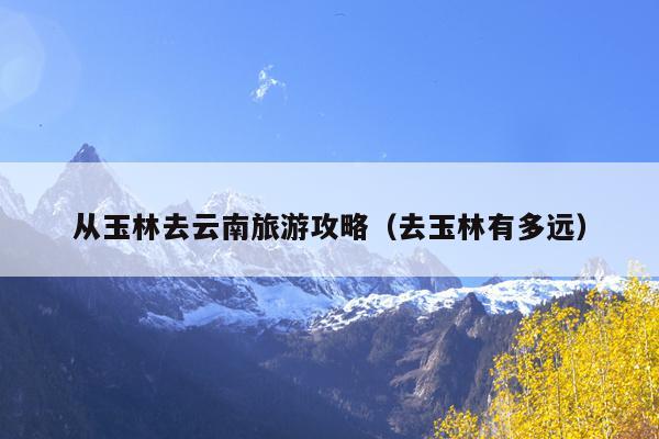 从玉林去云南旅游攻略（去玉林有多远）