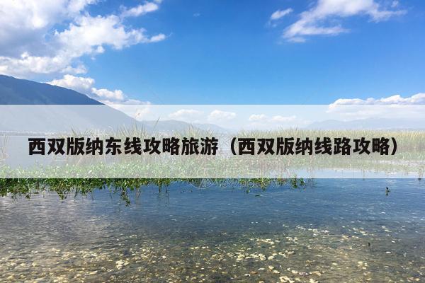 西双版纳东线攻略旅游（西双版纳线路攻略）