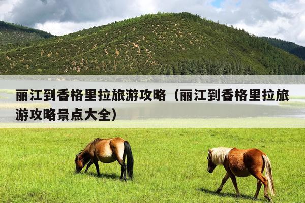 丽江到香格里拉旅游攻略（丽江到香格里拉旅游攻略景点大全）
