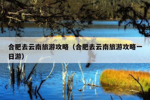合肥去云南旅游攻略（合肥去云南旅游攻略一日游）