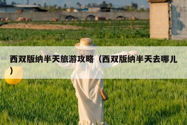 西双版纳半天旅游攻略（西双版纳半天去哪儿）