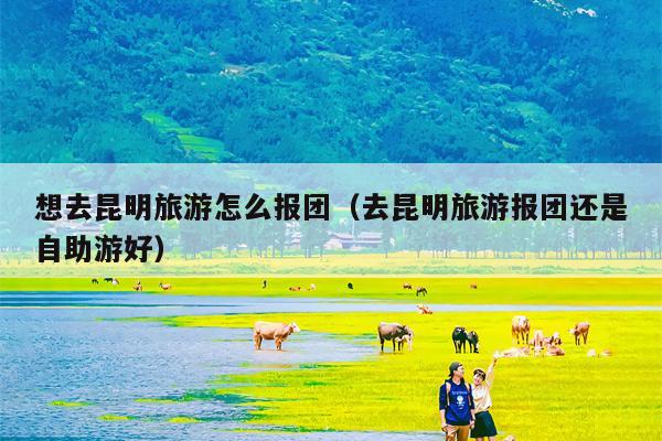 想去昆明旅游怎么报团（去昆明旅游报团还是自助游好）
