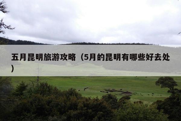 五月昆明旅游攻略（5月的昆明有哪些好去处）