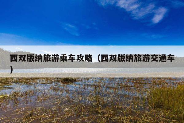 西双版纳旅游乘车攻略（西双版纳旅游交通车）