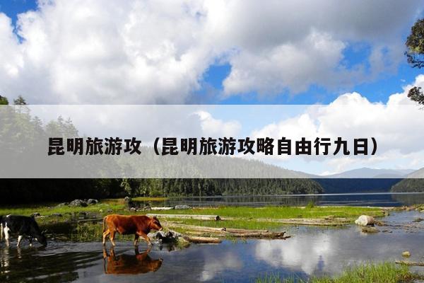 昆明旅游攻（昆明旅游攻略自由行九日）