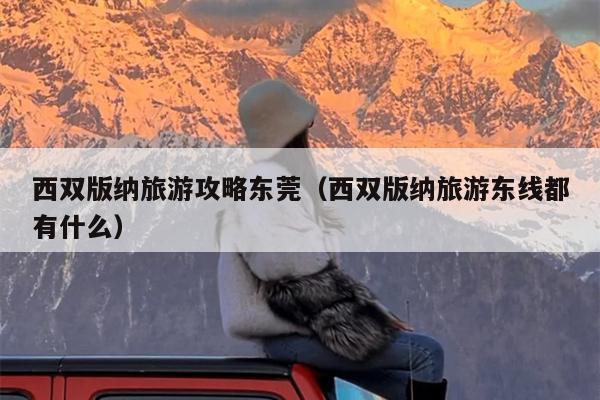 西双版纳旅游攻略东莞（西双版纳旅游东线都有什么）