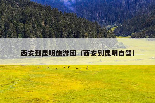 西安到昆明旅游团（西安到昆明自驾）