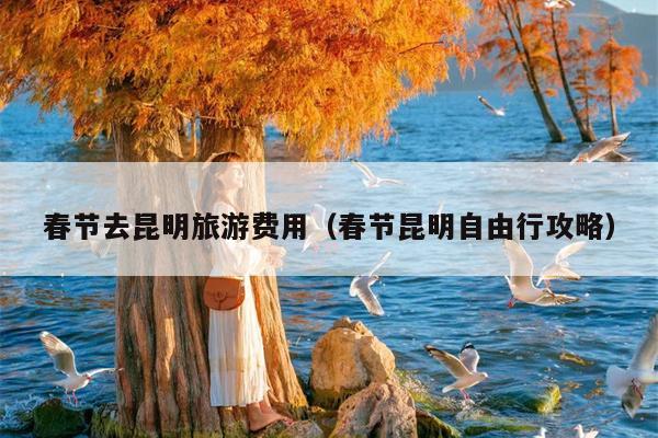 春节去昆明旅游费用（春节昆明自由行攻略）