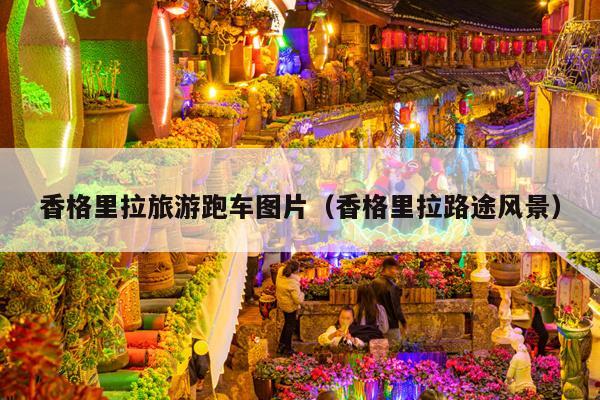 香格里拉旅游跑车图片（香格里拉路途风景）