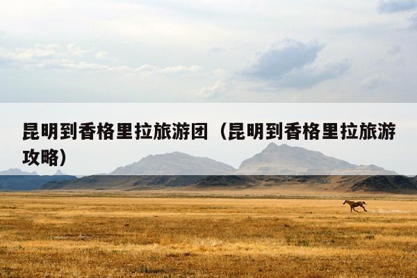 昆明到香格里拉旅游团（昆明到香格里拉旅游攻略）