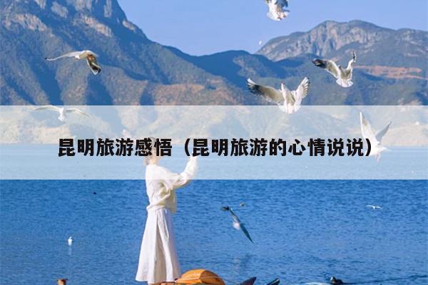 昆明旅游感悟（昆明旅游的心情说说）