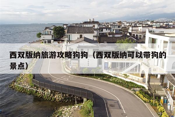 西双版纳旅游攻略狗狗（西双版纳可以带狗的景点）