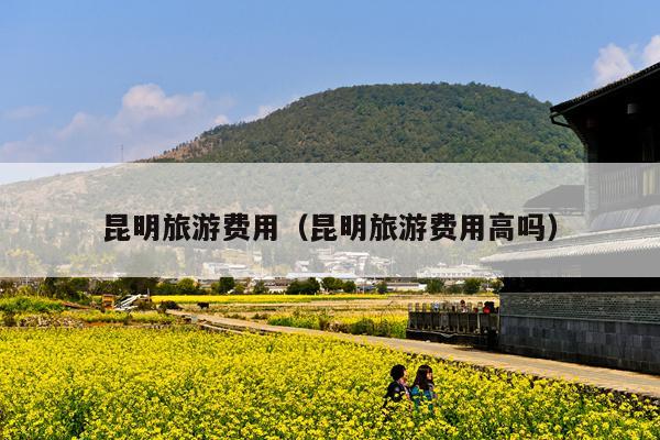 昆明旅游费用（昆明旅游费用高吗）