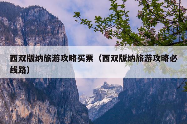 西双版纳旅游攻略买票（西双版纳旅游攻略必线路）