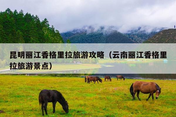 昆明丽江香格里拉旅游攻略（云南丽江香格里拉旅游景点）