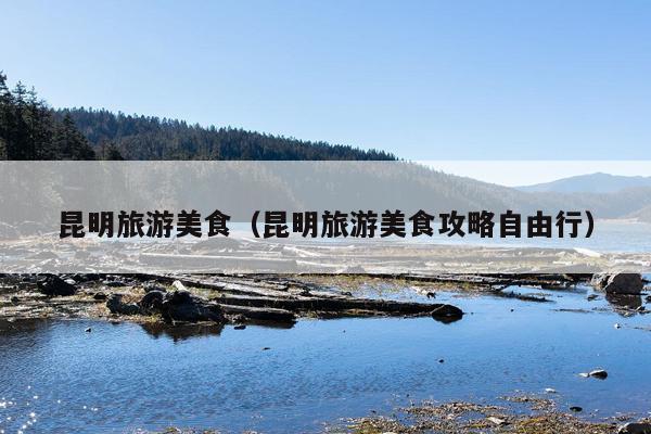 昆明旅游美食（昆明旅游美食攻略自由行）