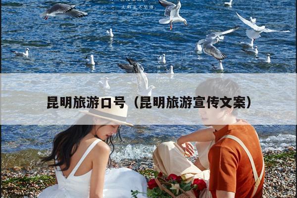 昆明旅游口号（昆明旅游宣传文案）