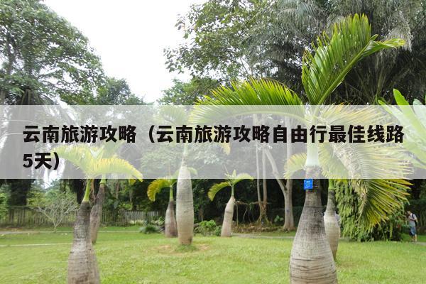 云南旅游攻略（云南旅游攻略自由行最佳线路5天）
