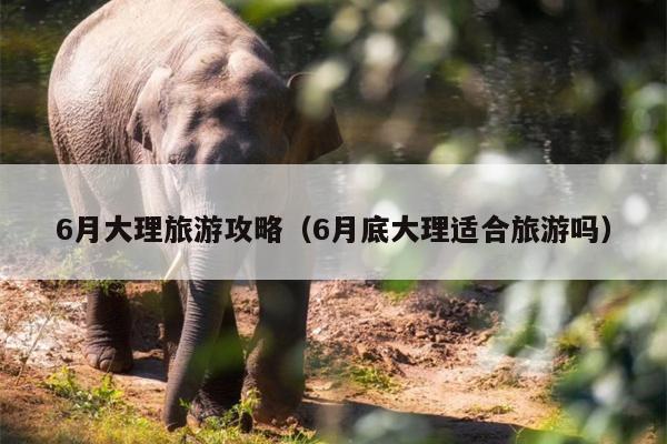 6月大理旅游攻略（6月底大理适合旅游吗）