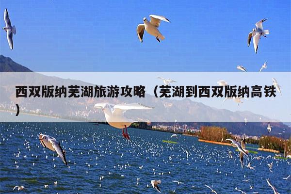 西双版纳芜湖旅游攻略（芜湖到西双版纳高铁）