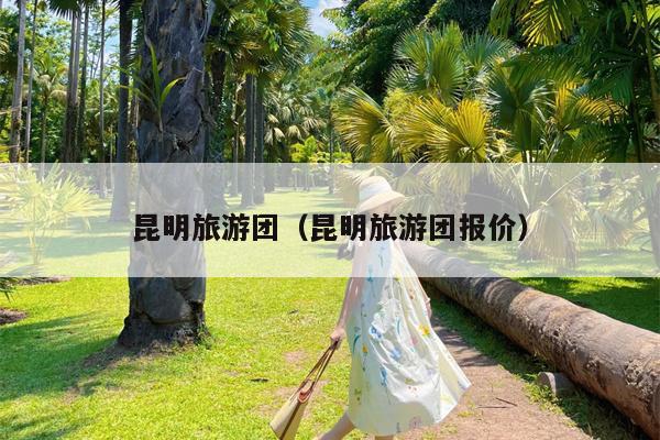 昆明旅游团（昆明旅游团报价）