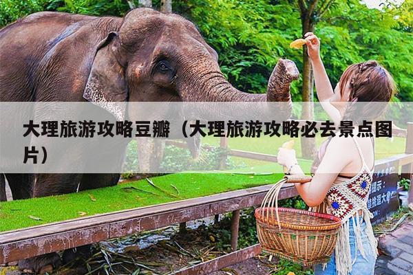 大理旅游攻略豆瓣（大理旅游攻略必去景点图片）