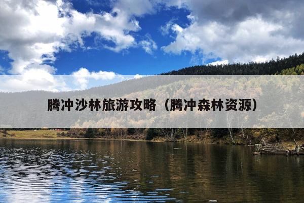 腾冲沙林旅游攻略（腾冲森林资源）