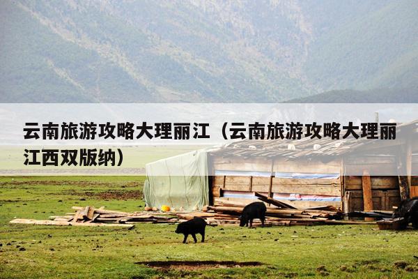 云南旅游攻略大理丽江（云南旅游攻略大理丽江西双版纳）