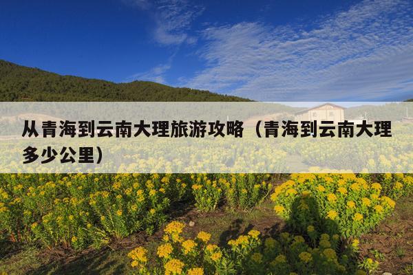 从青海到云南大理旅游攻略（青海到云南大理多少公里）