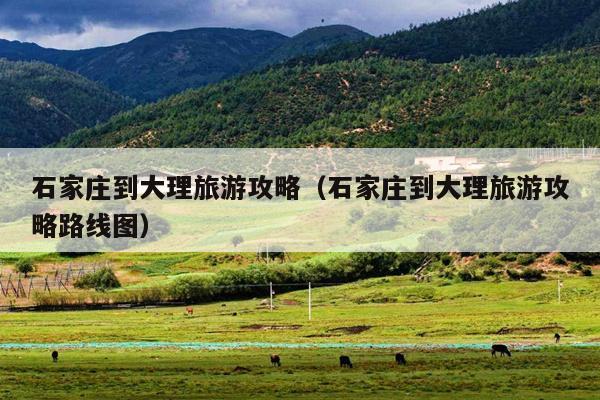 石家庄到大理旅游攻略（石家庄到大理旅游攻略路线图）