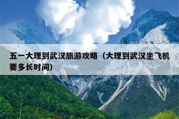 五一大理到武汉旅游攻略（大理到武汉坐飞机要多长时间）