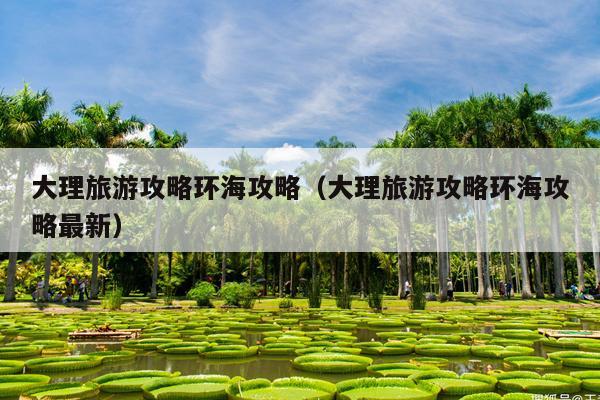 大理旅游攻略环海攻略（大理旅游攻略环海攻略最新）