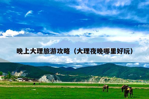 晚上大理旅游攻略（大理夜晚哪里好玩）