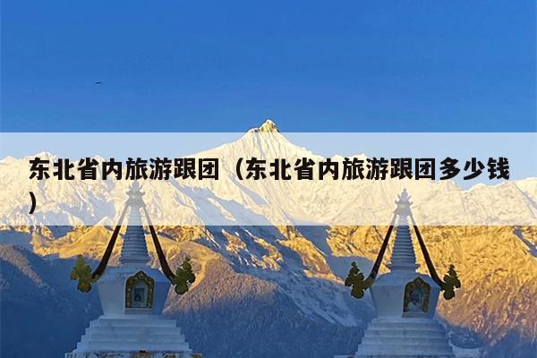 东北省内旅游跟团（东北省内旅游跟团多少钱）