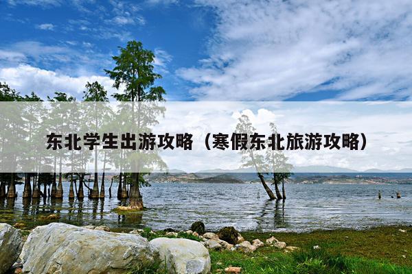 东北学生出游攻略（寒假东北旅游攻略）