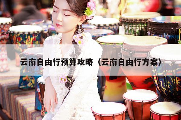 云南自由行预算攻略（云南自由行方案）