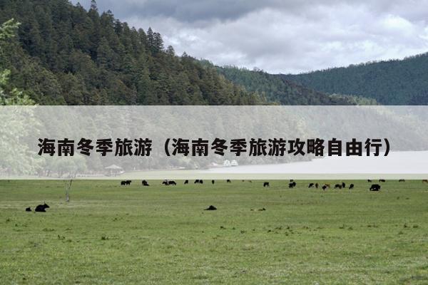 海南冬季旅游（海南冬季旅游攻略自由行）