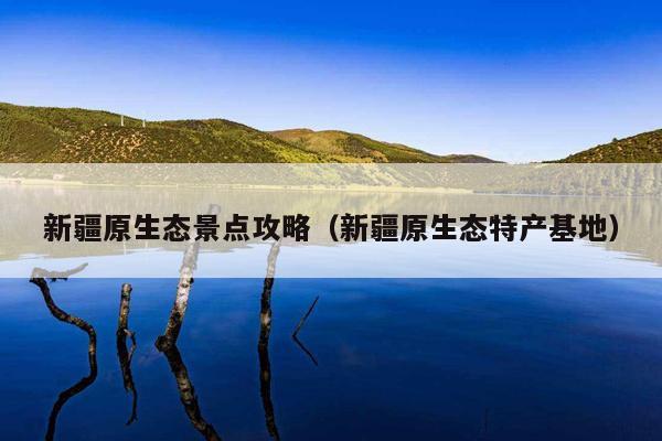 新疆原生态景点攻略（新疆原生态特产基地）