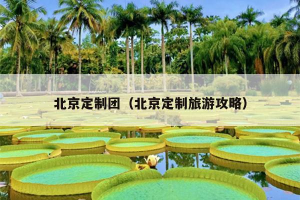 北京定制团（北京定制旅游攻略）