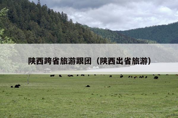 陕西跨省旅游跟团（陕西出省旅游）