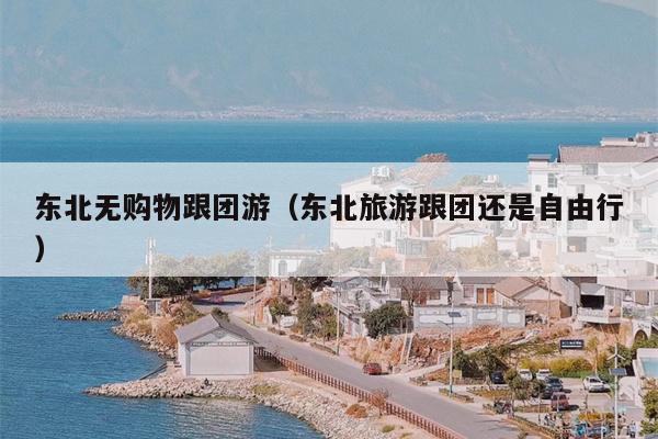 东北无购物跟团游（东北旅游跟团还是自由行）