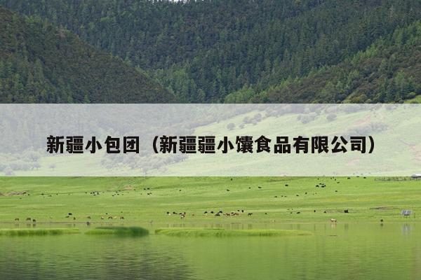 新疆小包团（新疆疆小馕食品有限公司）