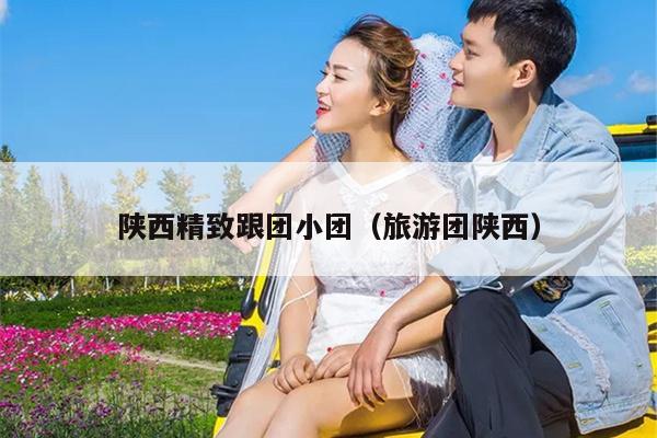 陕西精致跟团小团（旅游团陕西）