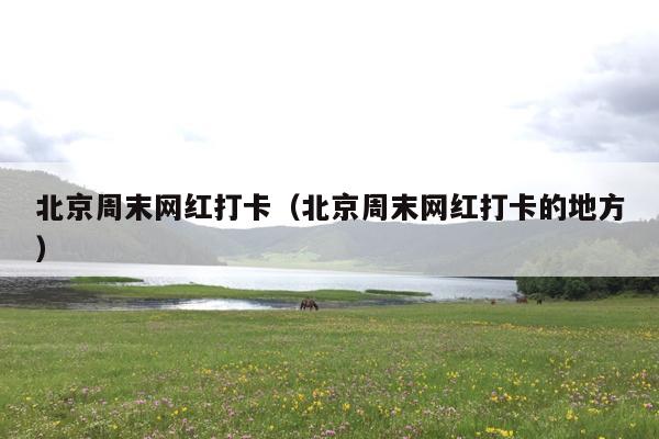 北京周末网红打卡（北京周末网红打卡的地方）
