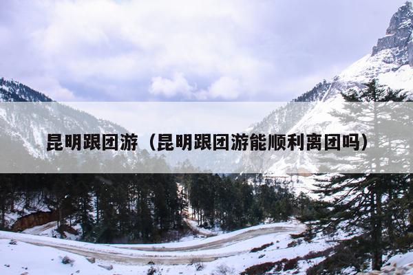 昆明跟团游（昆明跟团游能顺利离团吗）
