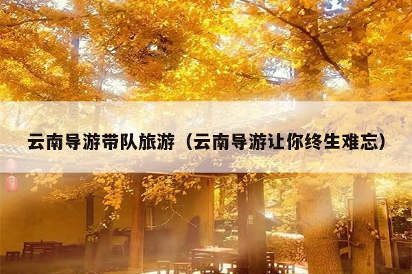 云南导游带队旅游（云南导游让你终生难忘）